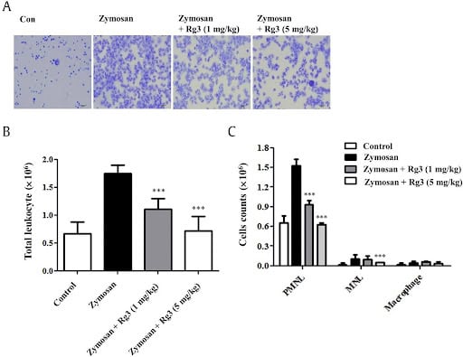 Effect of ginsenoside on peritonitis in mice