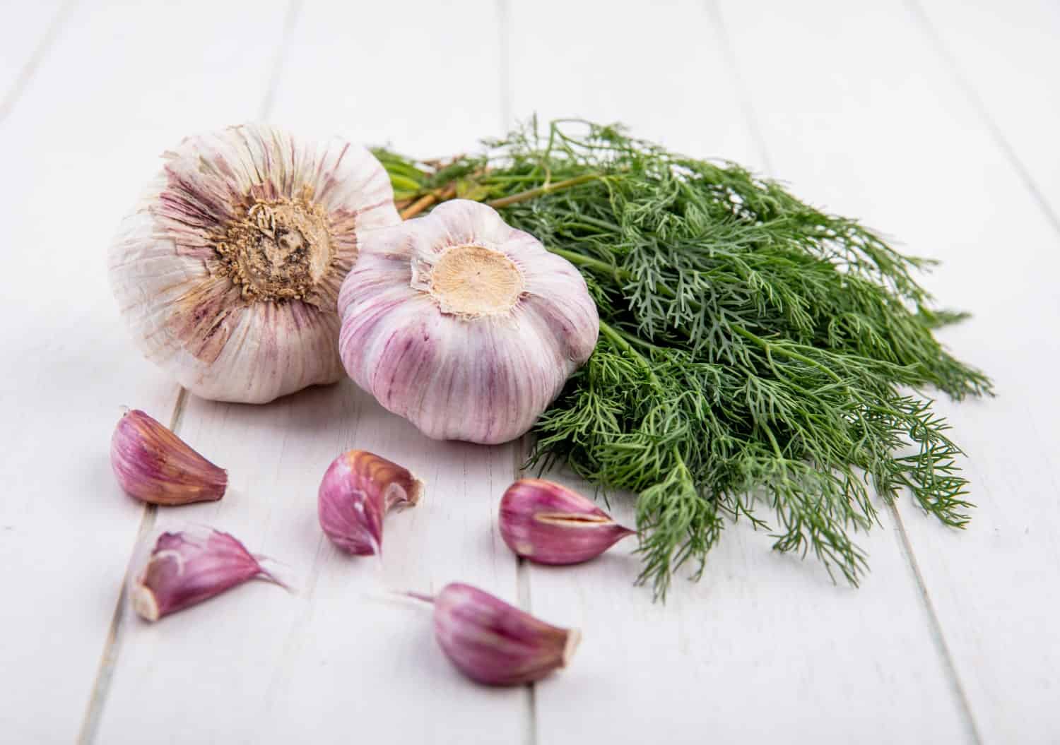 Imge of post Garlic (Allium sativum)