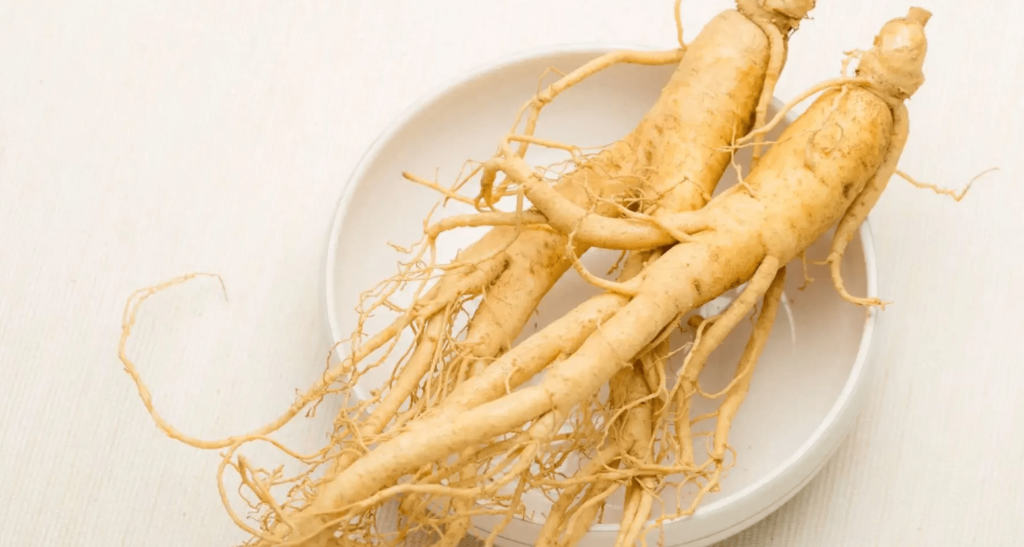 Korean Ginseng