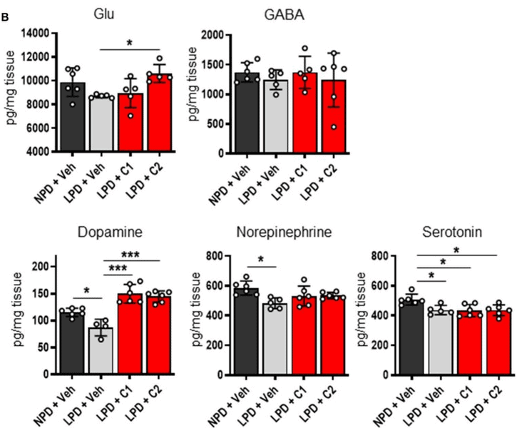 Low protein diet and decrease in neurotransmitters