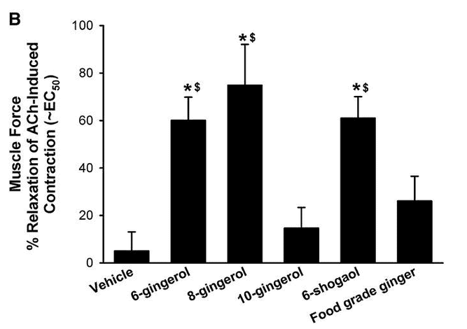 Ginger and its active constituents relax precontracted human airway smooth muscle