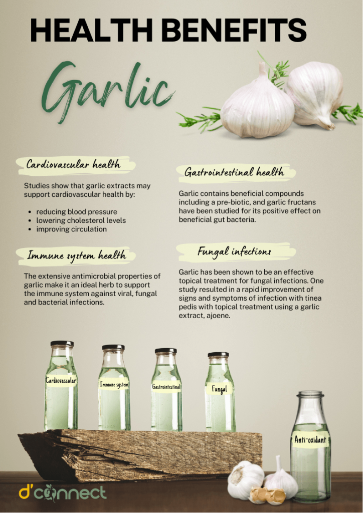 Health benefits of Garlic-Allium-Sativum