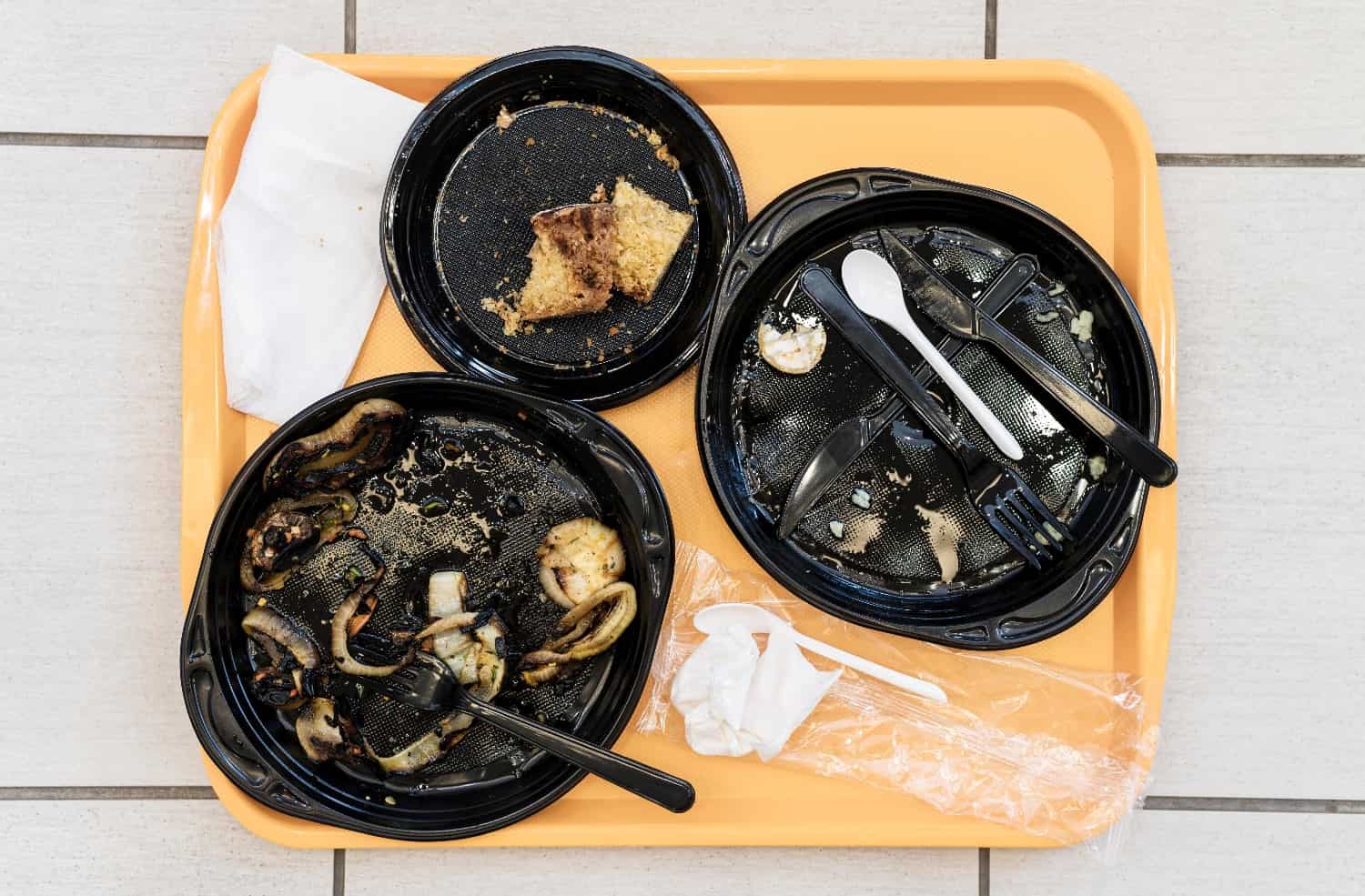 Imge of post Potential Health Risks of Food Packaging: Plastics