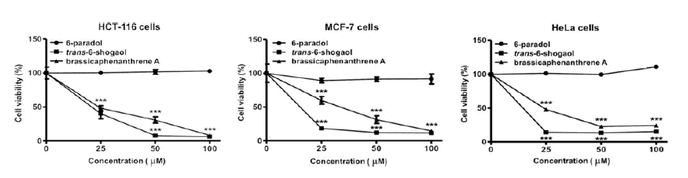 Inhibitory activity against the growth of cancer cell lines of turnip compounds