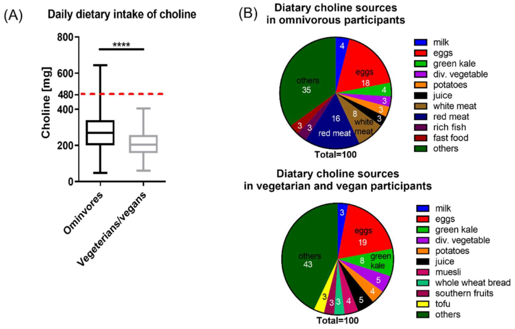 Choline levels in pregnant women