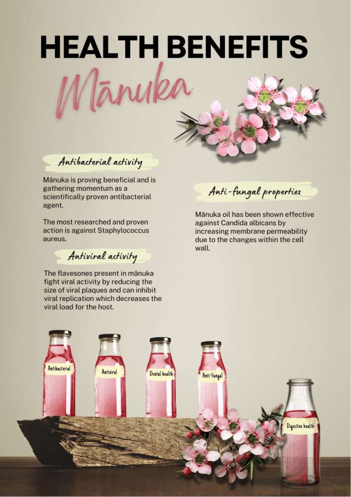 Herb-of-the-month-Manuka.png