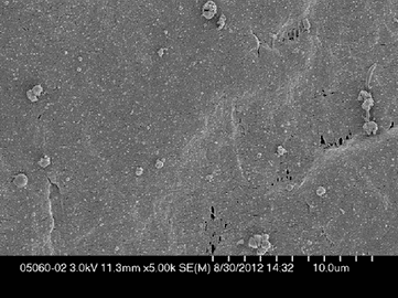 S. aureus biofilms and 10_ Manuka honey