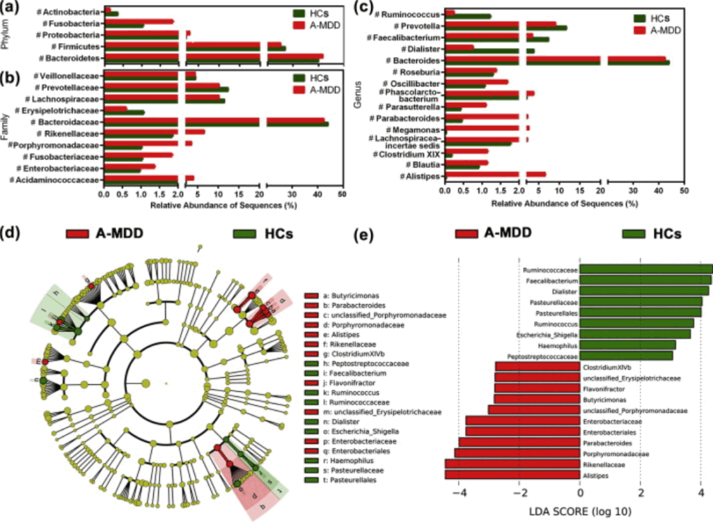 Altered microbiota and depression