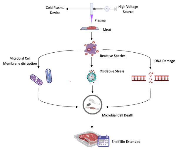 Cold plasma meat preservation